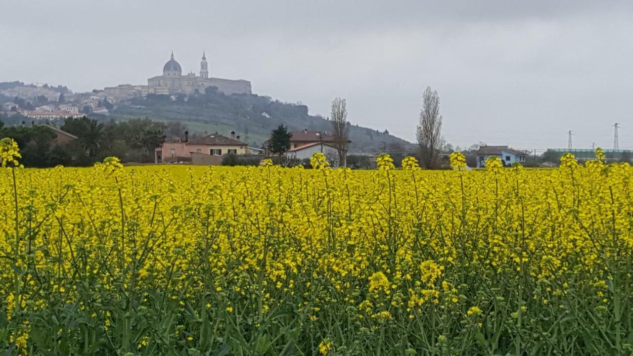 Villetta Del Conero ポルト・レカナーティ エクステリア 写真